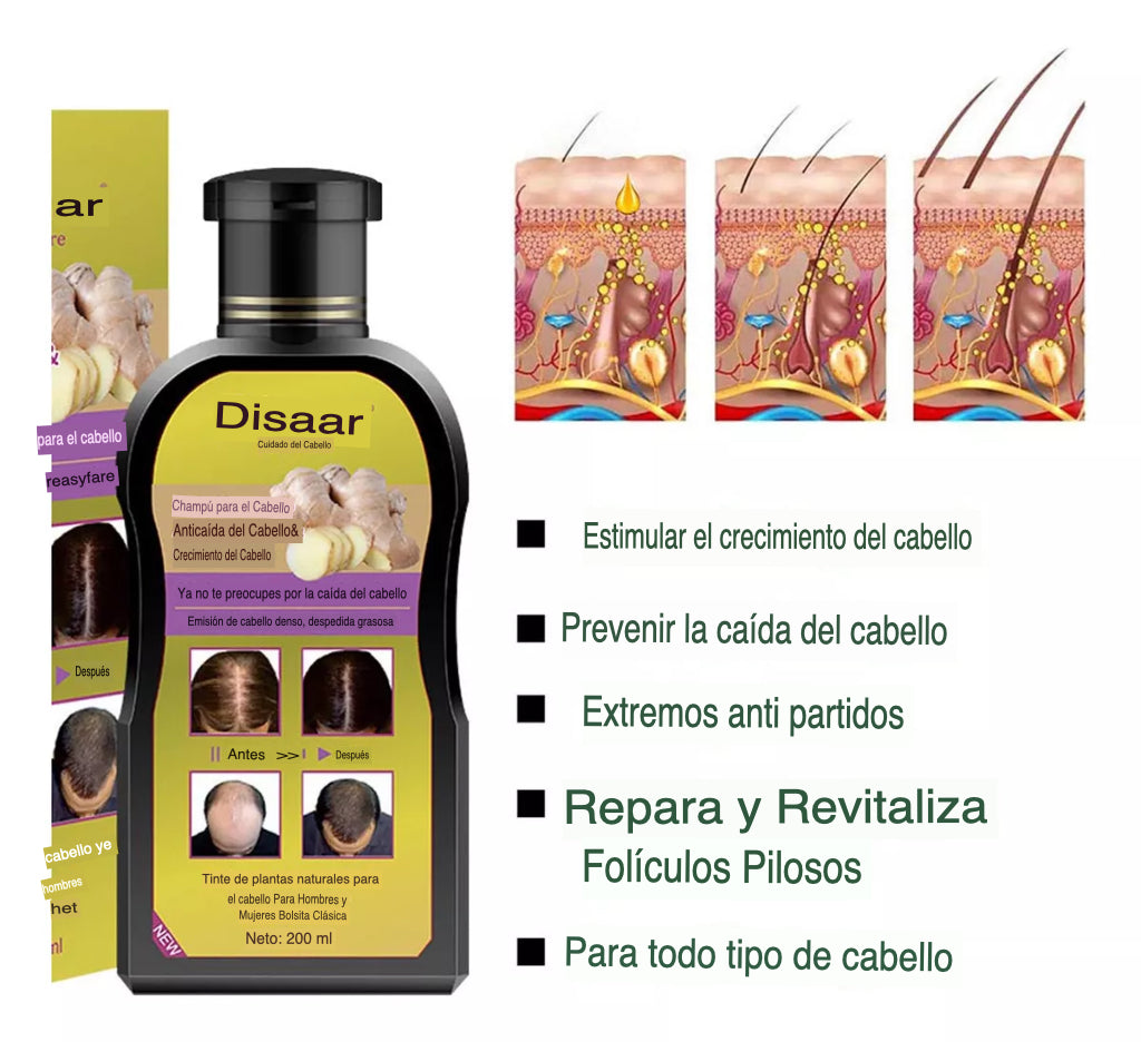 Shampoo Anti Caída De Cabello